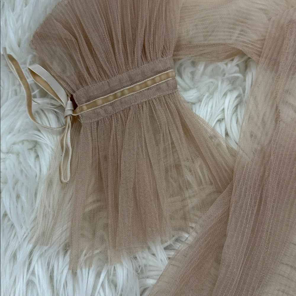 Gracia Beige Sheer Long Sleeve Top - Picture 4 of 6